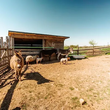 مزرعة للإقامة Little Farm Comfort&prestigehouse Ittre