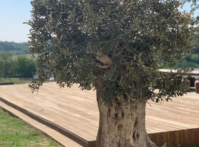 Little Farm Comfort&prestigehouse Séjour à la ferme Ittre