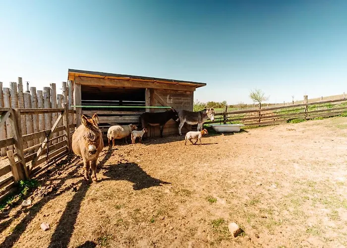 Alloggio per agriturismo Little Farm Comfort&prestigehouse Ittre